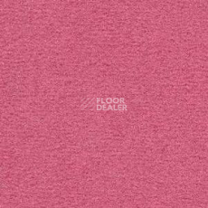 Ковролин Radici Nexus Pink 8261 фото 1 | FLOORDEALER